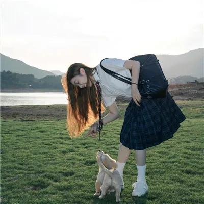 霹雳玫瑰
